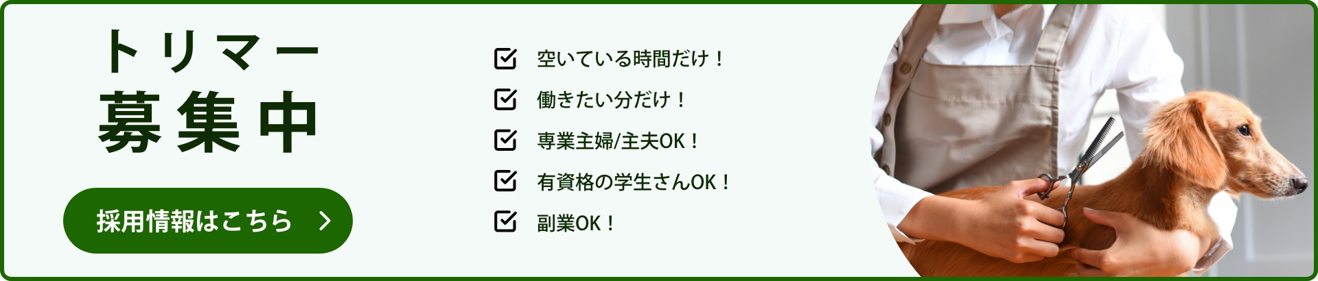 採用情報はこちら