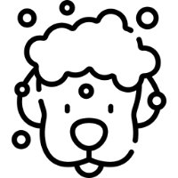 セルフシャンプーでケアタイム