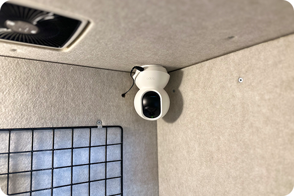 24時間カメラでの見守り