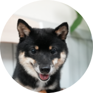 ひとりで静かに過ごしたい性格の子