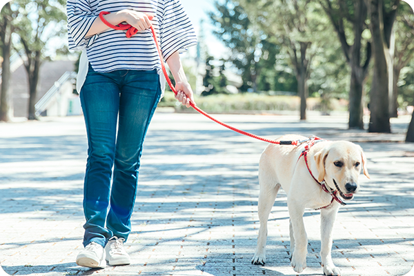 少頭数・個別対応を大切に